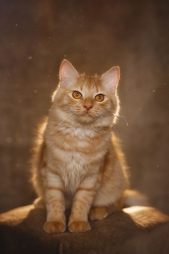 Photograph by Тамара Дмитриева