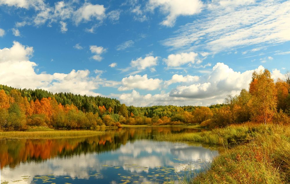 Photograph by Александр Трифанов