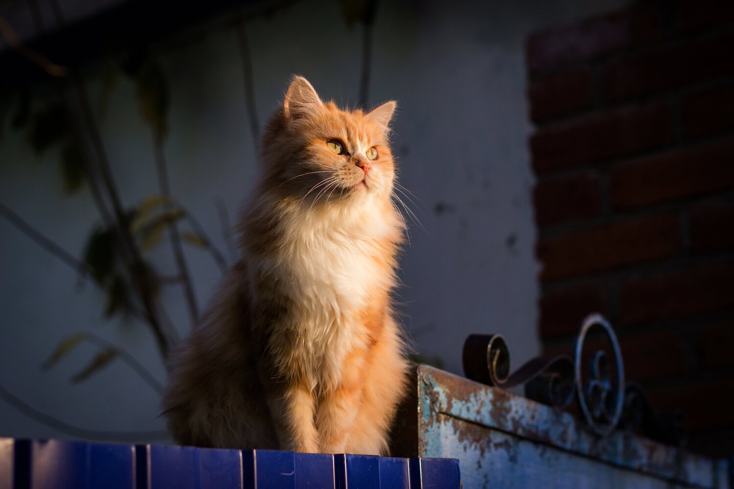 Photo #6076722