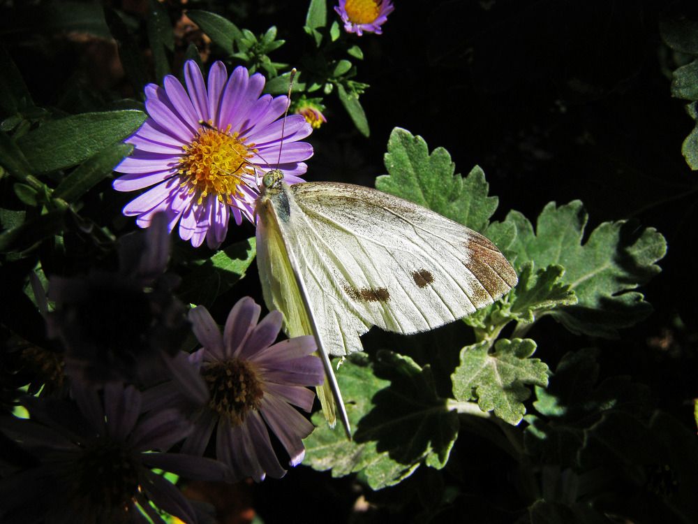 Photograph by Mozhgan Sadeghi