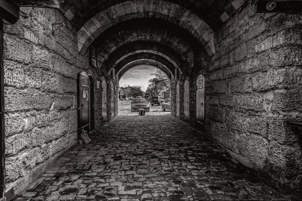 Photograph by Владимир Гамаюнов