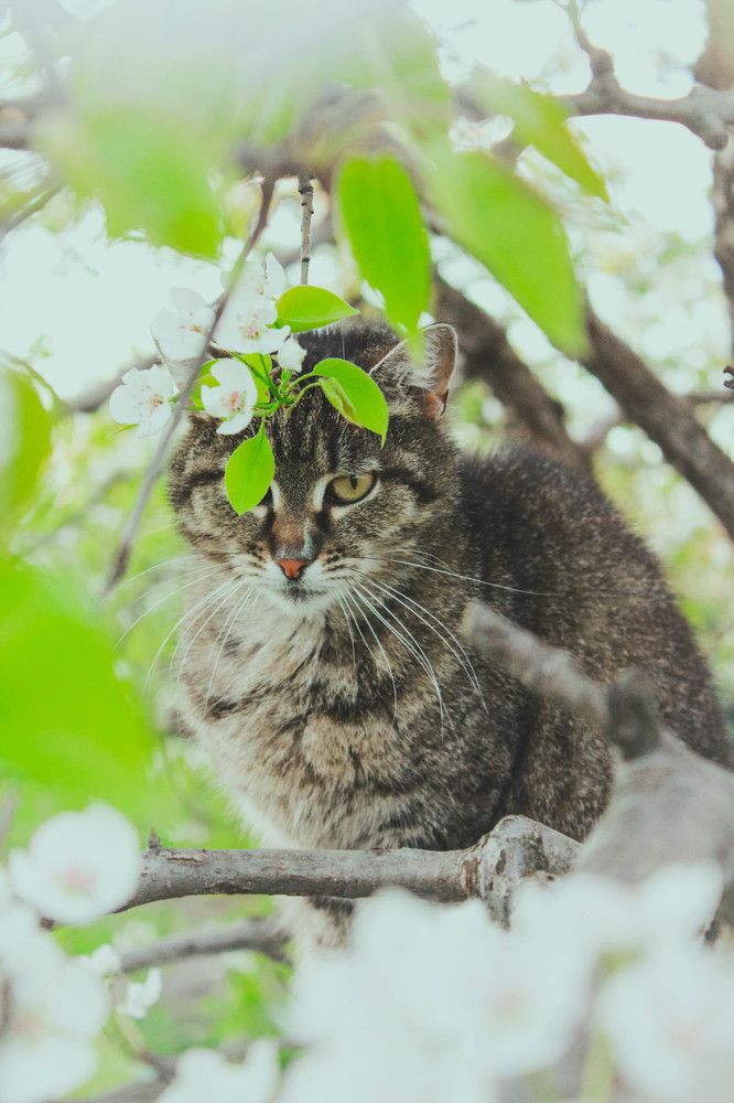 Photograph by Печена Тамара