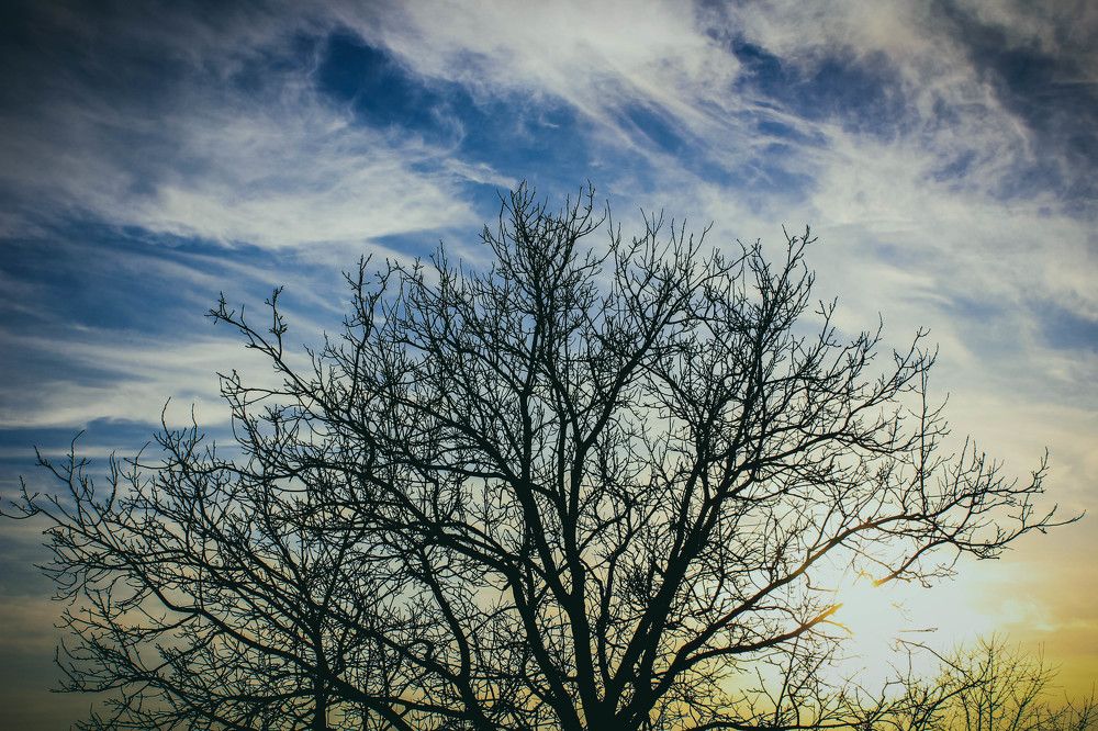 Photograph by Печена Тамара