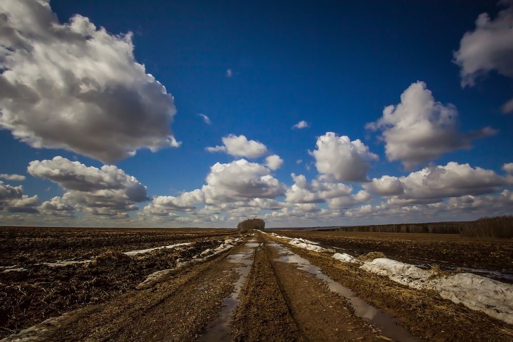 Photograph by Дмитрий Сундеев