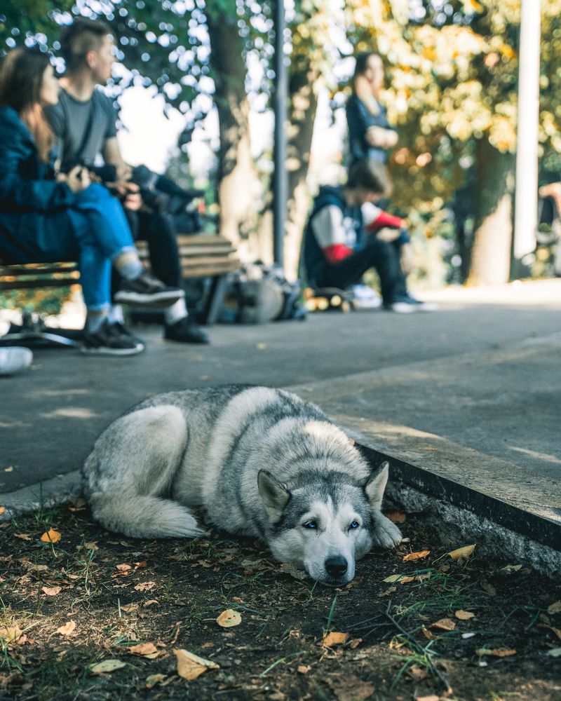 Фотография автора Кирилл Литовский