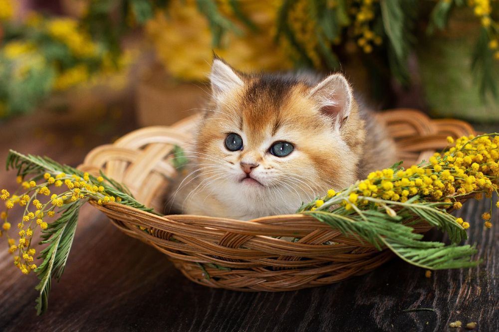 Photograph by Любовь Конева