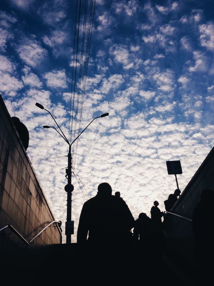 Photo #6076888