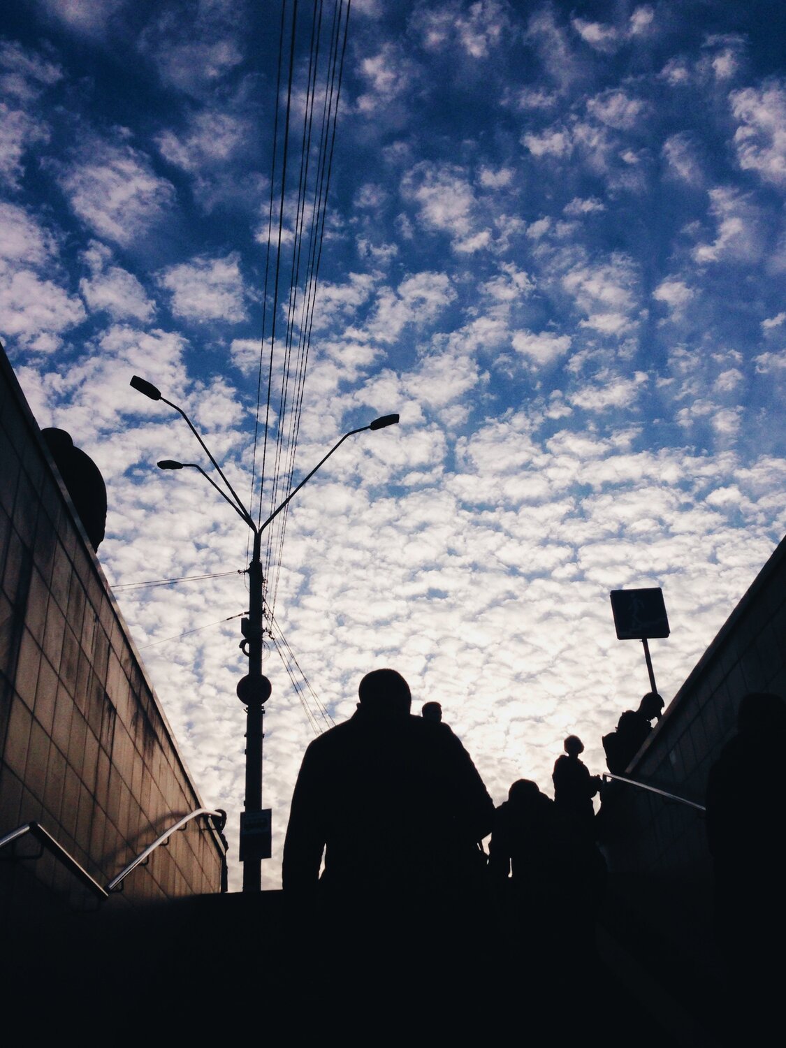 Photo #6076888