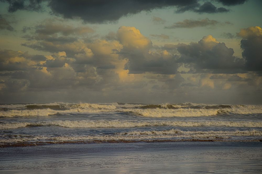 Фотография автора yomn