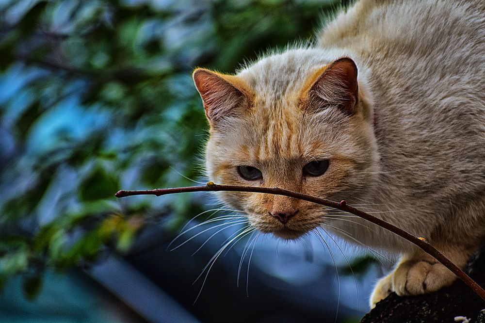 Photograph by Cергей Землянский