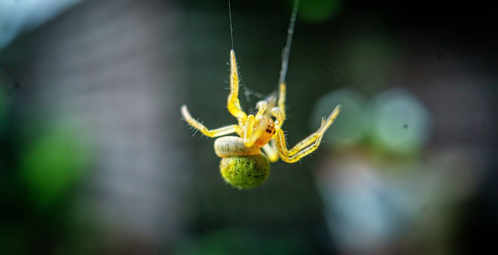 Photograph by Владимир Верендеев
