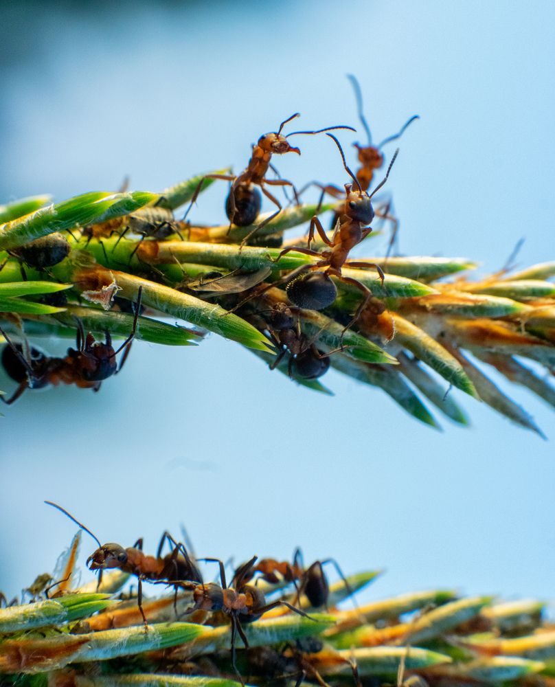 Photograph by Владимир Верендеев