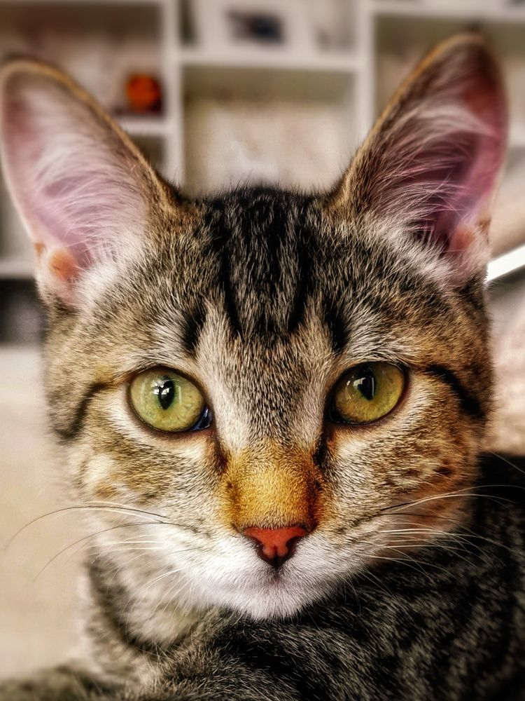 Photograph by Наталья Асоскова