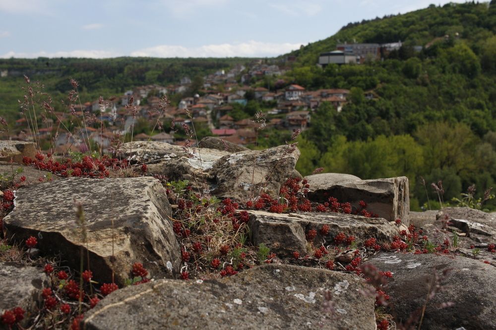 Фотография автора Вера Корчагина