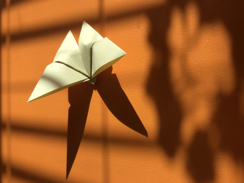 Photograph by Vera Korchagina