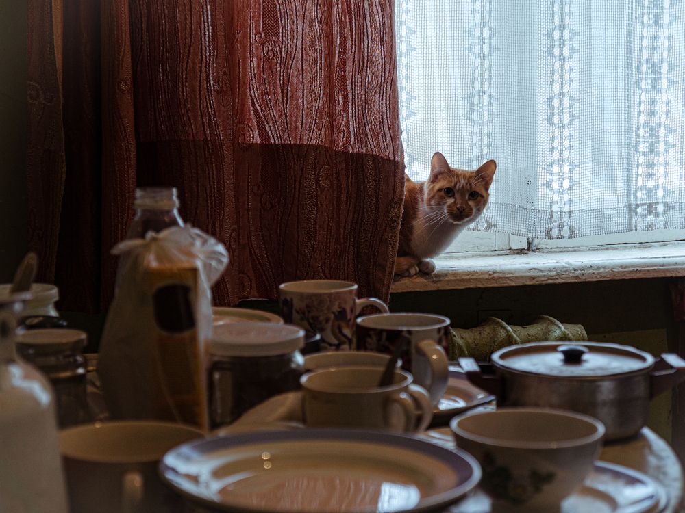 Бабушкин хищник