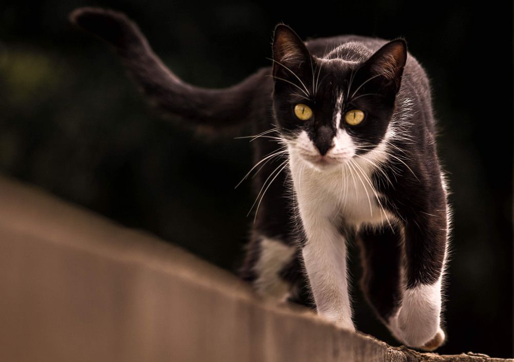 Photograph by Alejandra Márquez