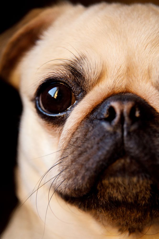 Photograph by Марина Фрейман