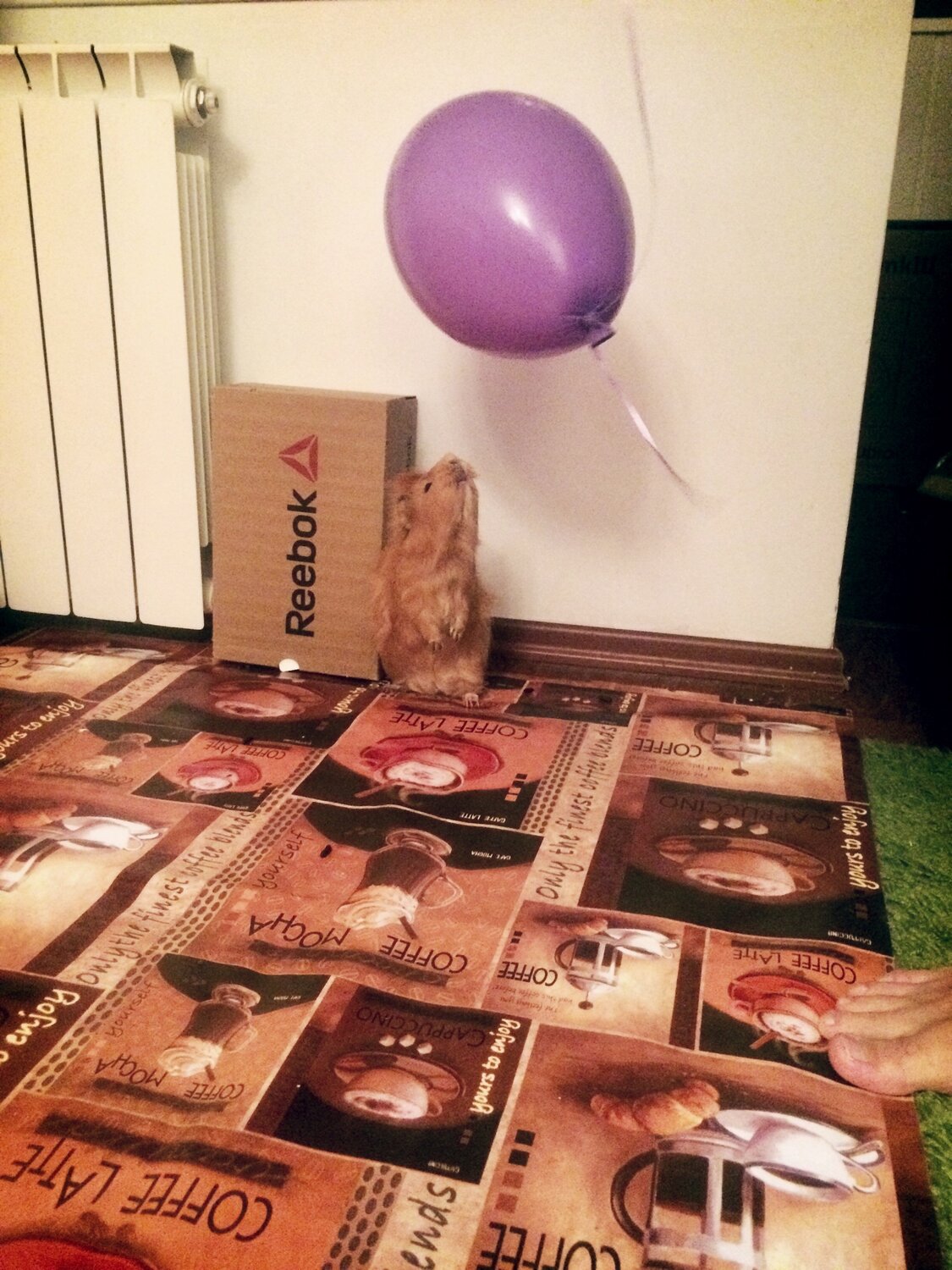 Photo #6077118