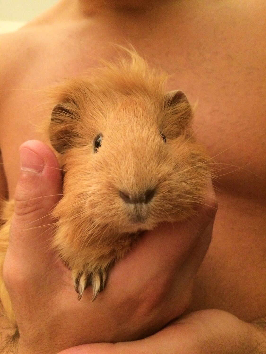Photo #6077119