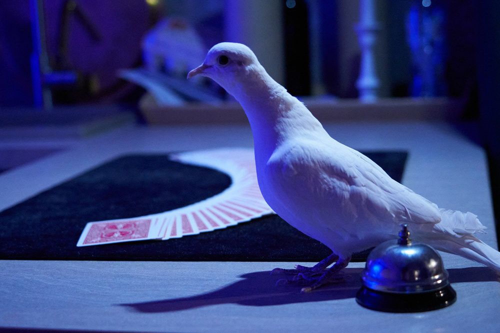 Photograph by Евгения Турушева