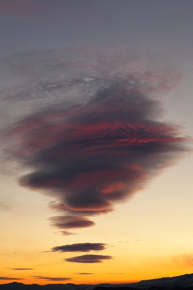 Фотография автора Лариса Кисурина