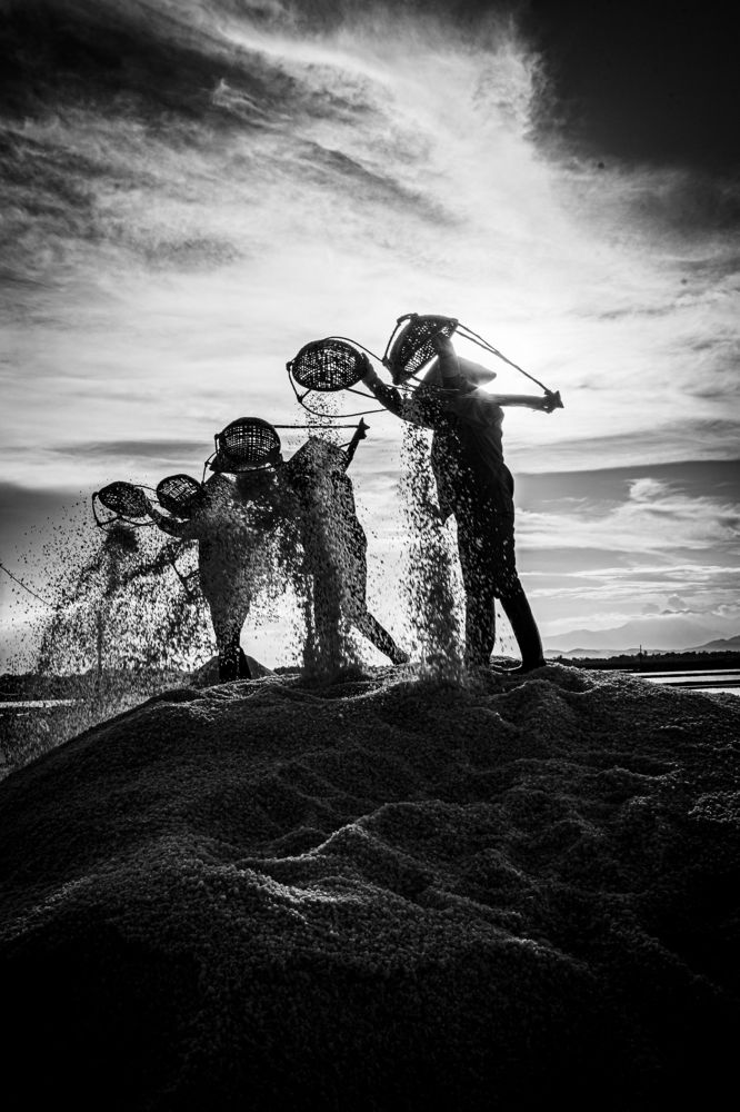 Photograph by Dzintra Zvagina