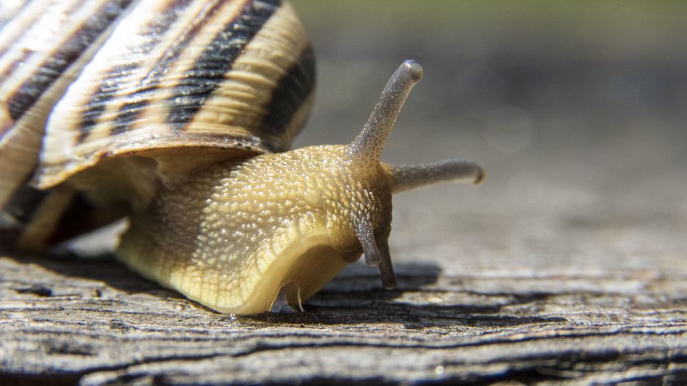 Фотография автора Виталий Медведь