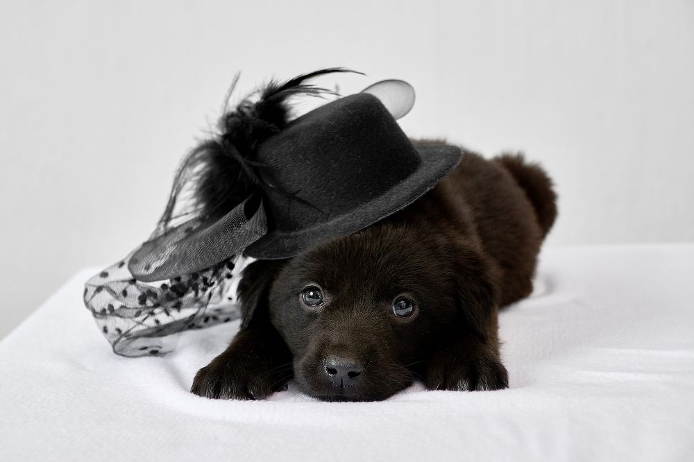 Photograph by Татьяна Акимова