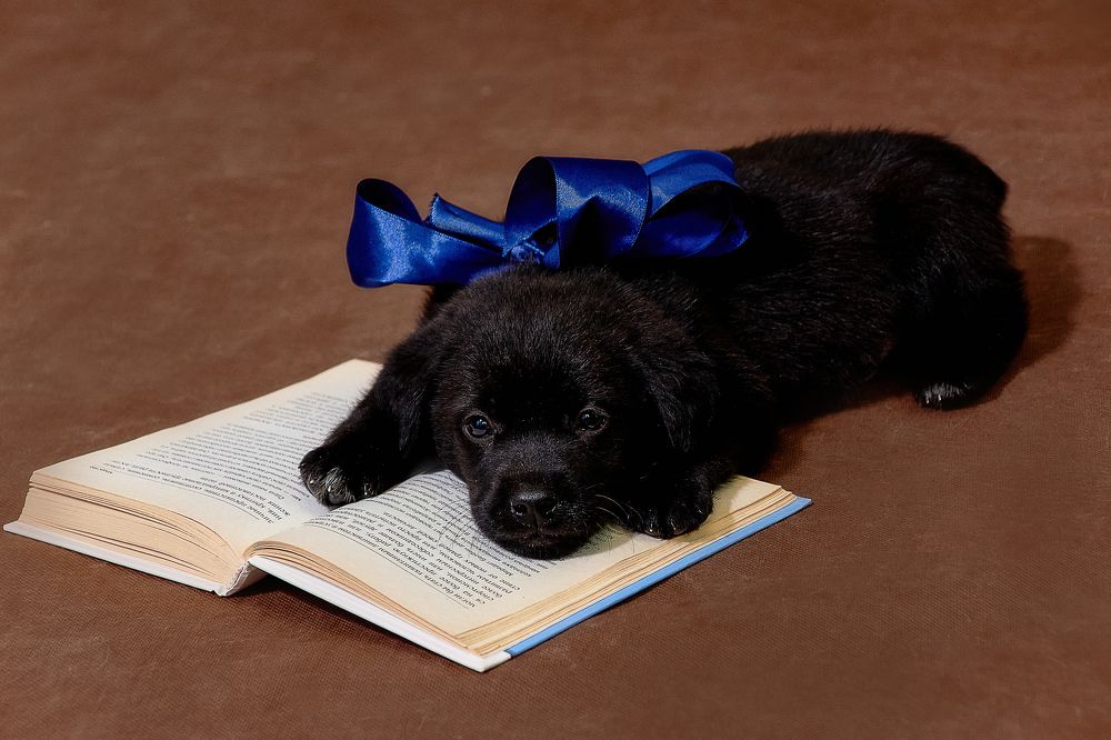 Photograph by Татьяна Акимова