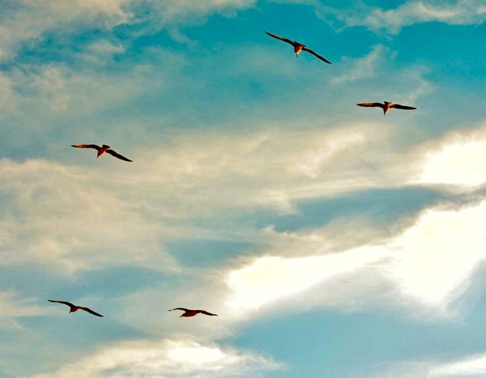 Photograph by Natasha Efanova