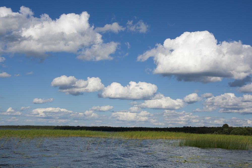 Photograph by Юлия Ефимова