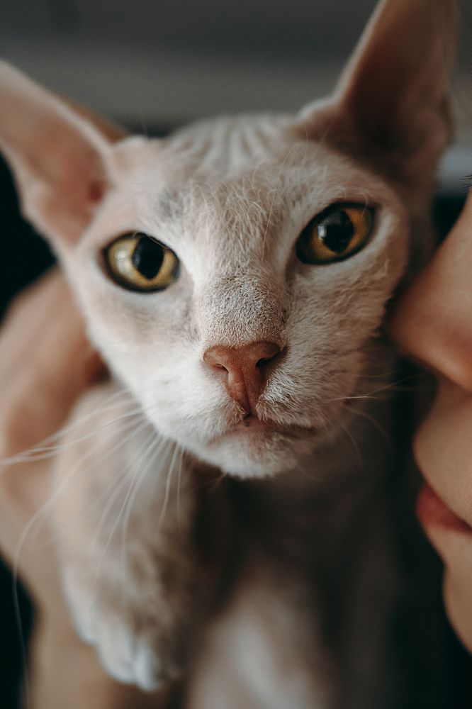 Photograph by Валерия Трушина