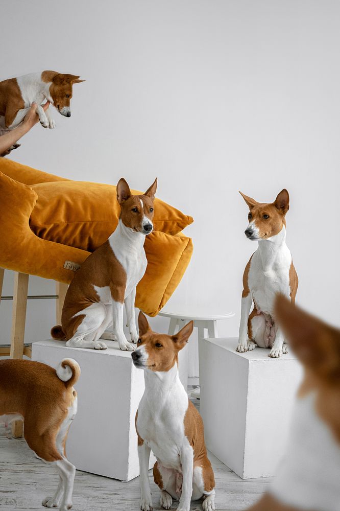 Photograph by Валерия Трушина