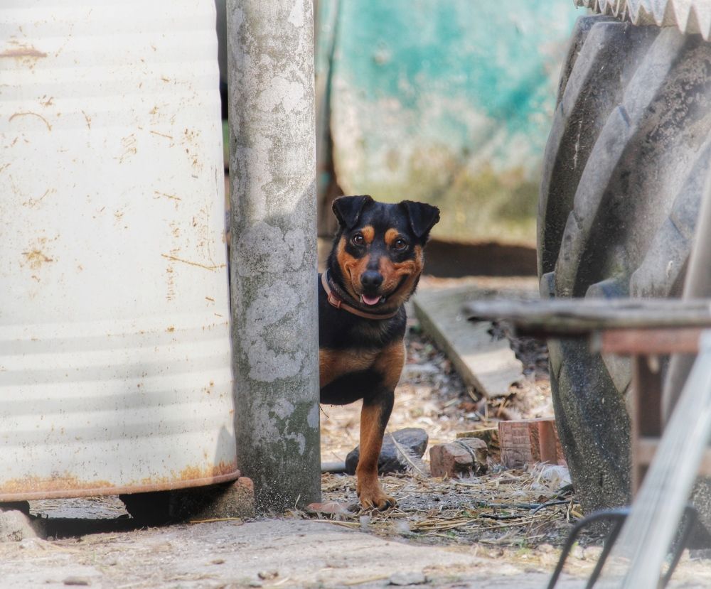 Photograph by Алексей Кроль