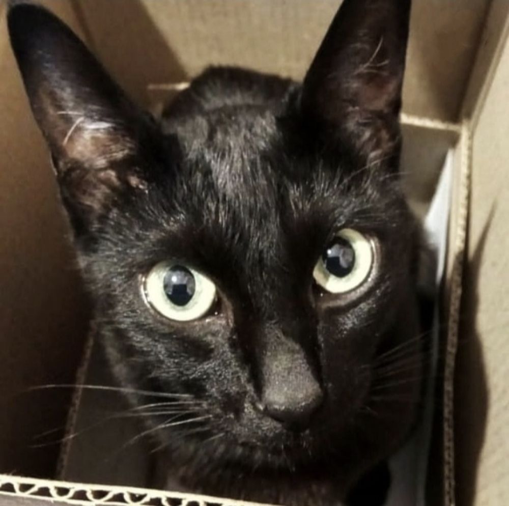 Любимое место.