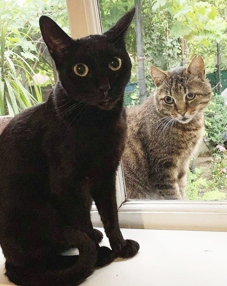 Фото с другом