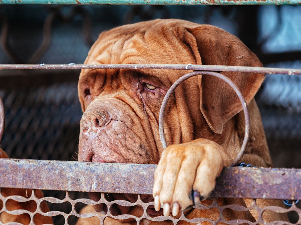 Photograph by Сергей Кадыров