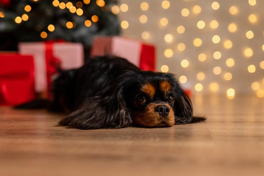 Photograph by Юлия Ефимова