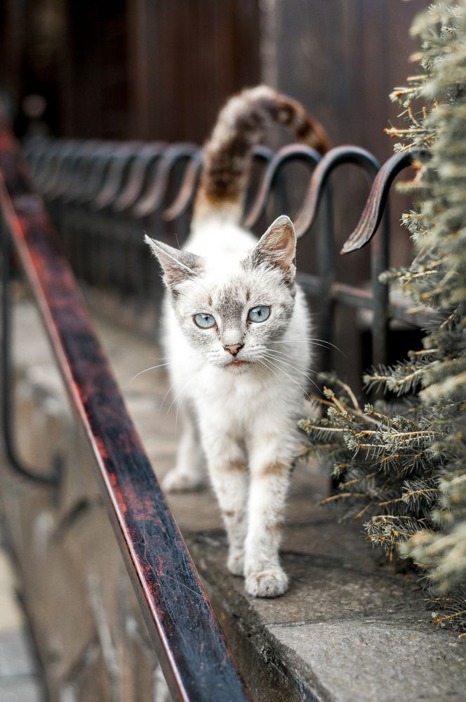 Photograph by Оксана Тарасюк