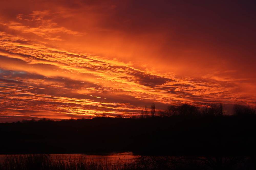 Photograph by Алексей Мосейко