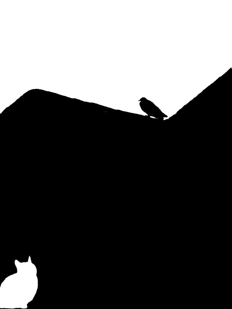 Photograph by Mozhgan Sadeghi