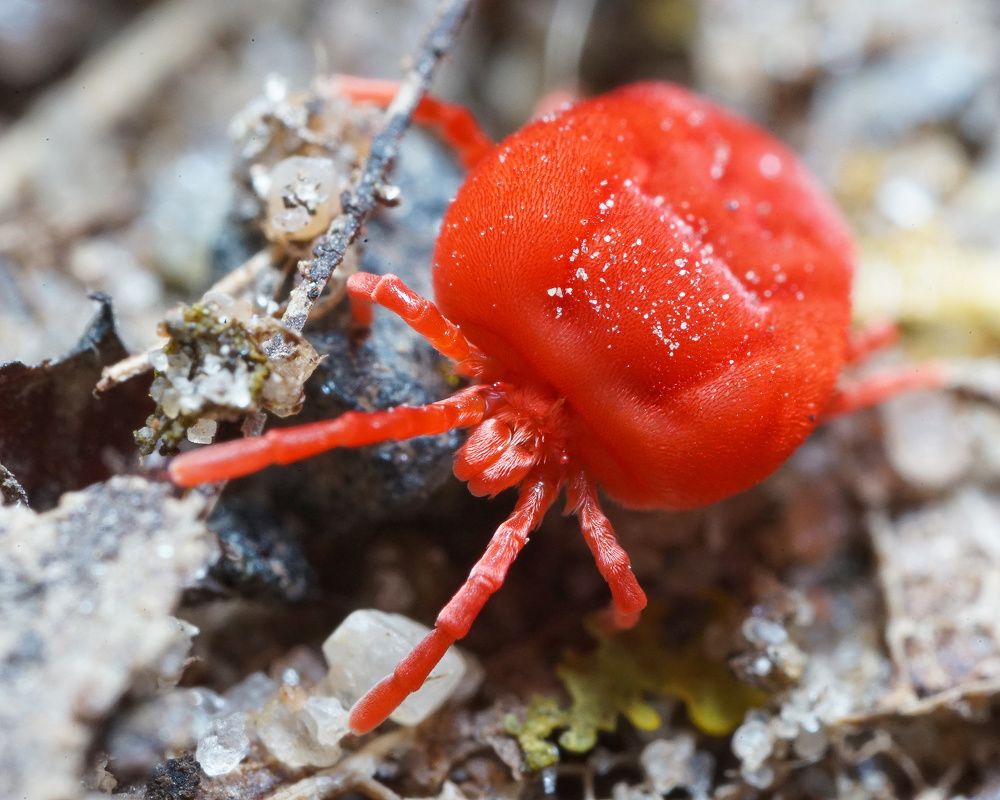 Photograph by Владимир Корчемкин