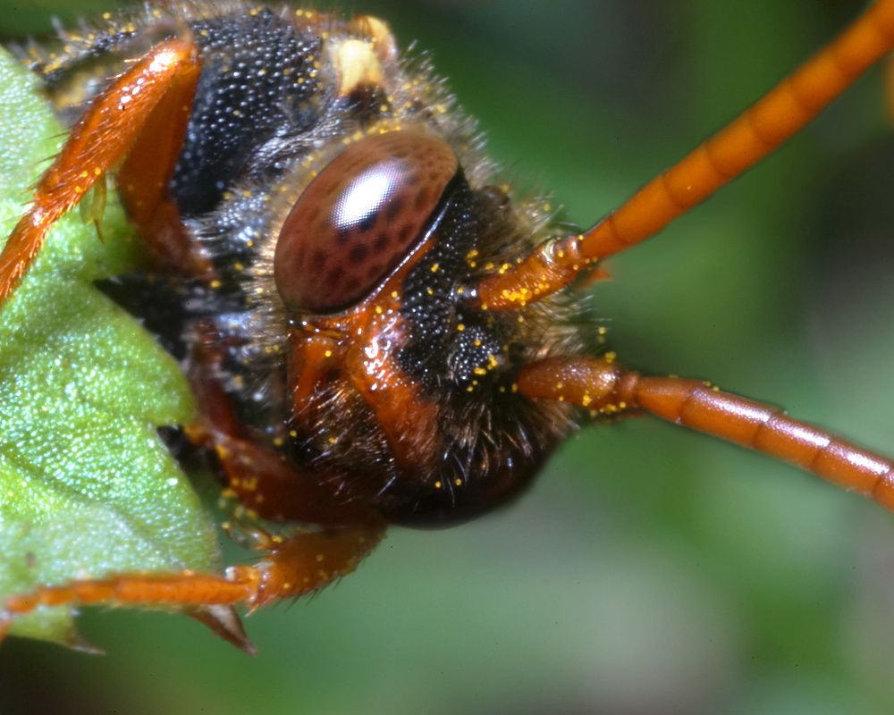 Photograph by Владимир Корчемкин