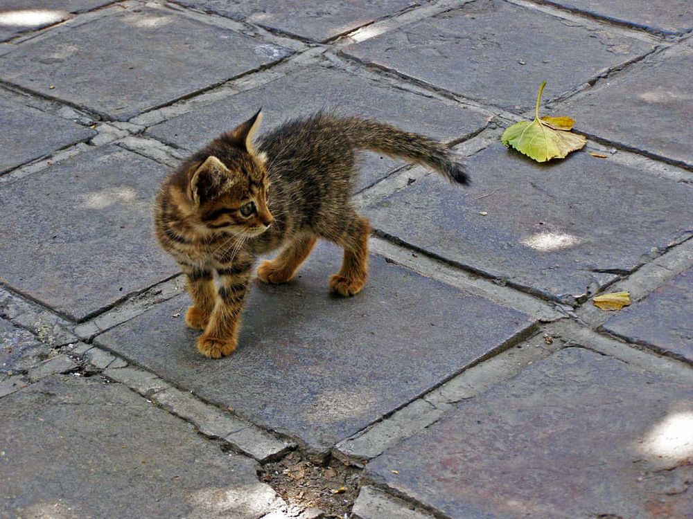 Photograph by Mozhgan Sadeghi