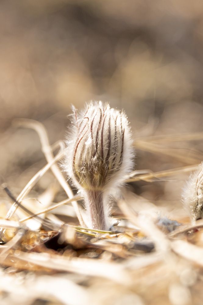 Photograph by Russia Egorova