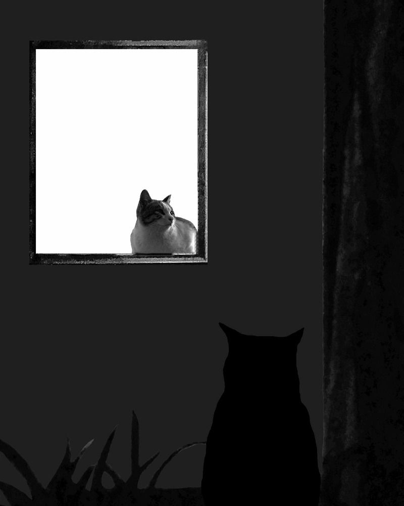 Photograph by Mozhgan Sadeghi