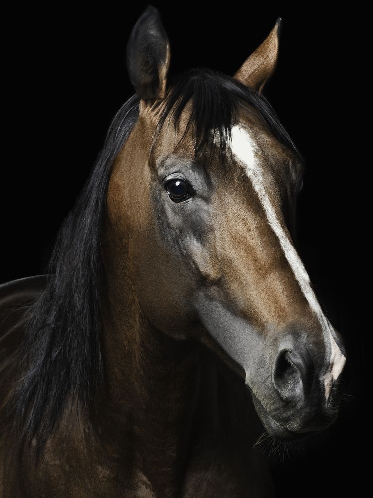 Photograph by Илья Копелиович