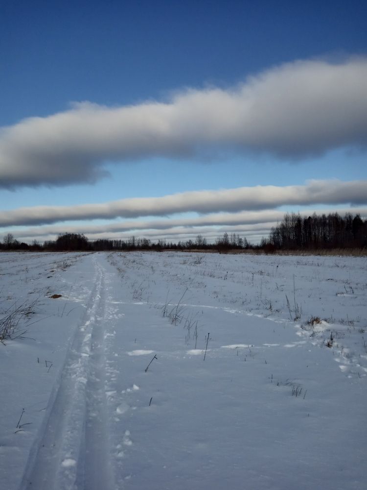 Photograph by Любовь Шаврина