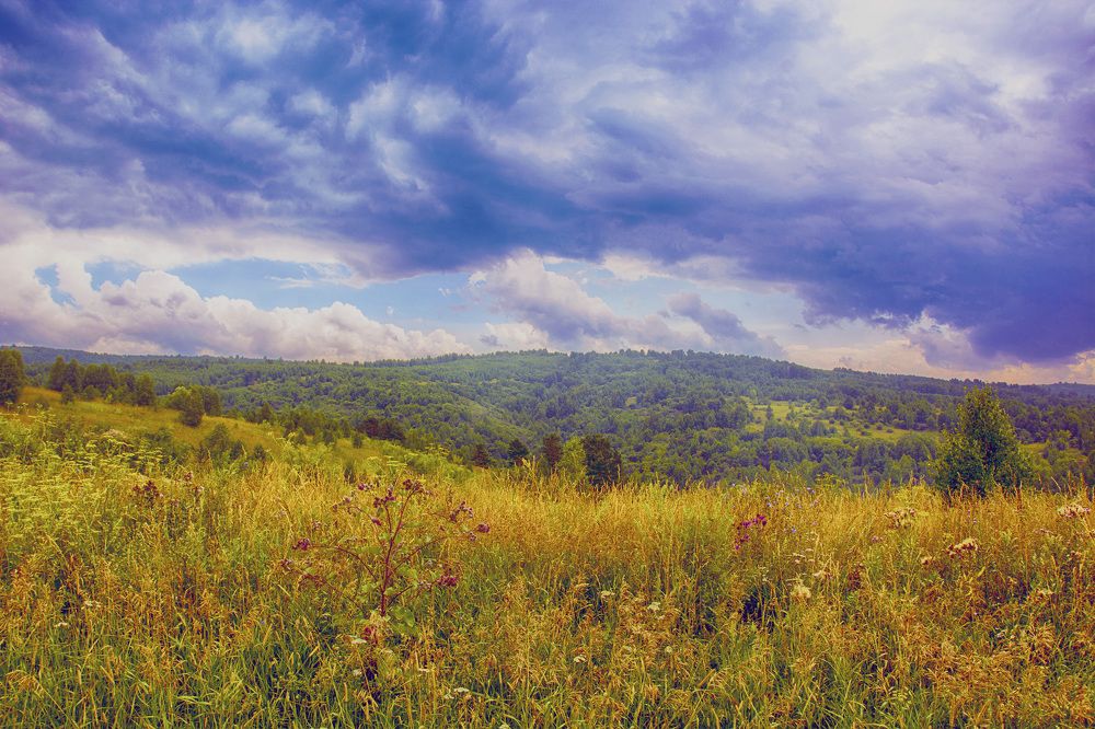 Photograph by Михаил Лавренков